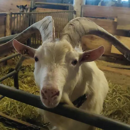Κατάλυμα σε φάρμα Bauernhof Lienharter