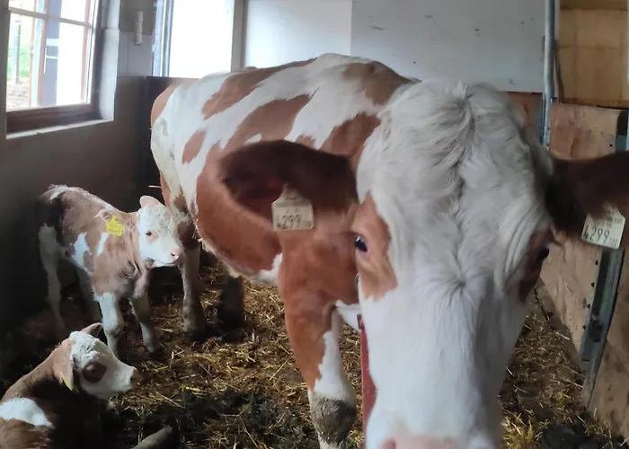 Bauernhof Lienharter