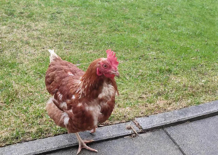 Farm stay Bauernhof Lienharter